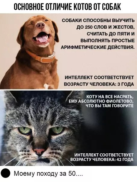 Смешная картинка №419003 животные