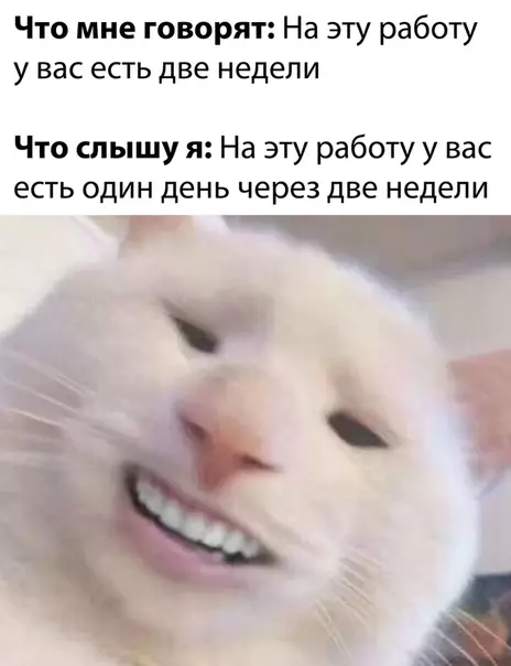Смешная картинка №525407