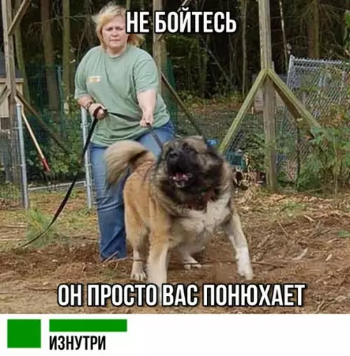 Смешная картинка №291963