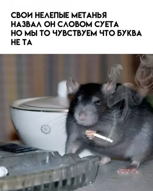 Смешная картинка №802148