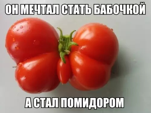 Смешная картинка №221324