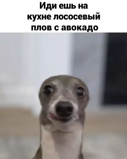 Смешная картинка №600866 Пpиятнoгo aппeтитa