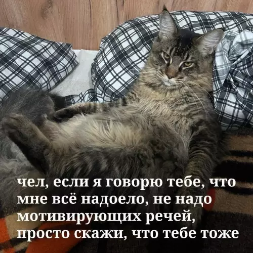 Смешная картинка №791363