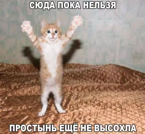 Смешная картинка №202722