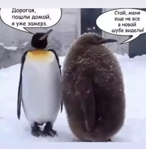 Смешная картинка №680209