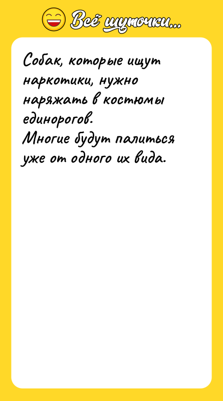 Собак, которые ищут наркотики, нужно наряжать в костюмы единорогов. Многие