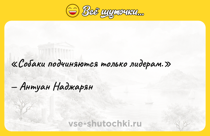 Цитата: Собаки подчиняются только лидерам.Антуан Наджарян