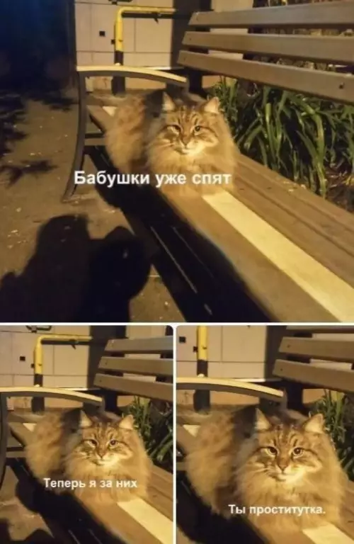 Смешная картинка №716523