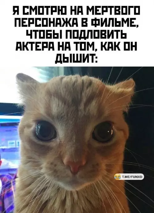 Смешная картинка №763221