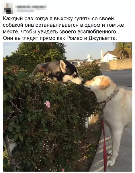 Смешная картинка №372717