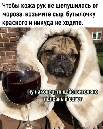 Смешная картинка №737858 Хороший совет 