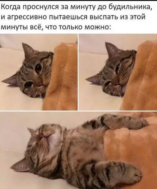 Смешная картинка №484499 Печально