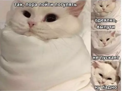 Смешная картинка №240465 Эх, и почему на работу одеялко всегда отпускает...