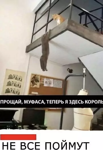 Смешная картинка №505956