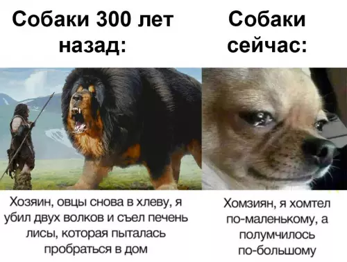 продолжение Смешная картинка №662793