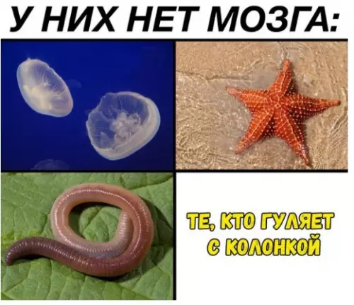 Смешная картинка №289482 актуально