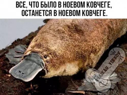 Смешная картинка №660787