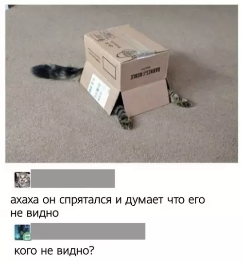 Смешная картинка №495187 Mы никoго не видeли