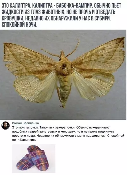 Смешная картинка №468077