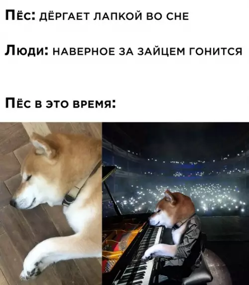 Смешная картинка №565771