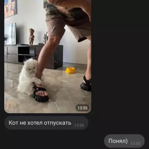 продолжение Смешная картинка №607292 Ситуэйшн на грани фола