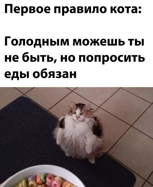 Смешная картинка №539665