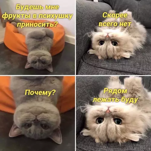 Смешная картинка №662347