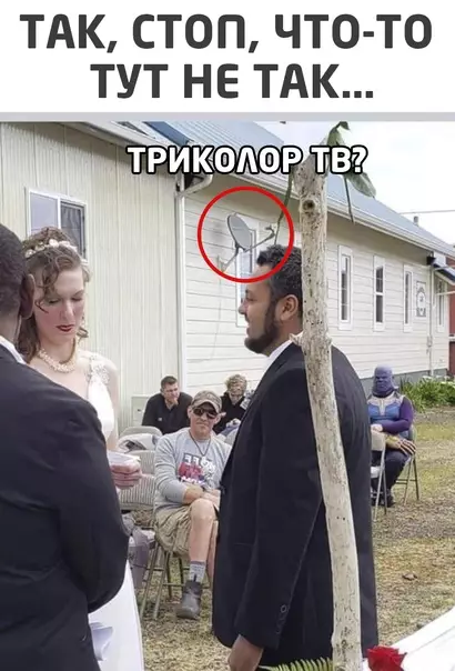 Смешная картинка №555621