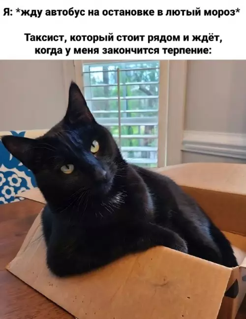 Смешная картинка №669643