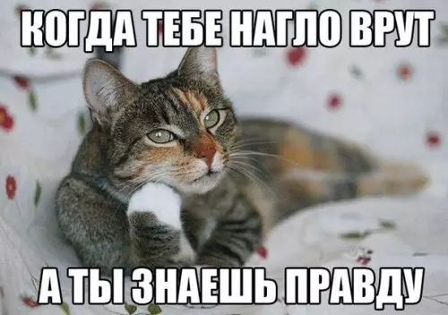 Смешная картинка №282538