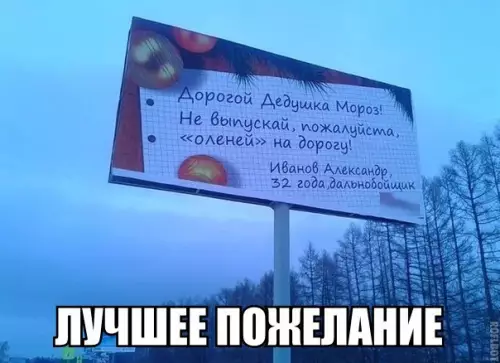 Смешная картинка №234691 олени