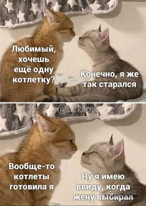 Смешная картинка №667999 картинки
