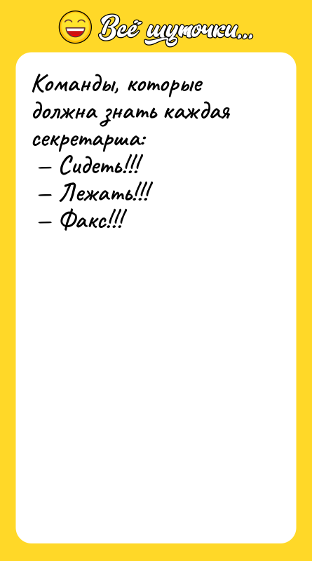 Команды, которые должна знать каждая секретарша: Сидеть!!!