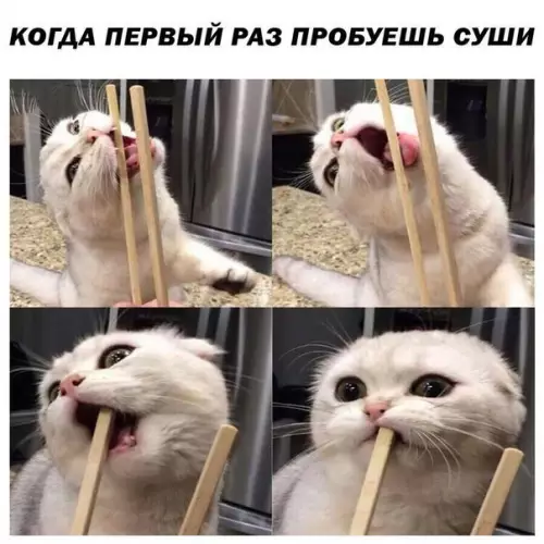 Смешная картинка №264801
