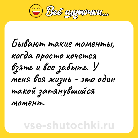 Шутка: Бывают такие моменты, когда просто хочется взять и все забыть. У меня вся жизнь - это один такой затянувшийся момент.