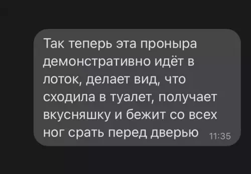 продолжение Смешная картинка №606312 Животные