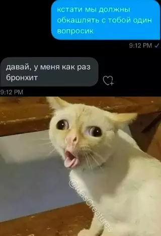 Смешная картинка №663190