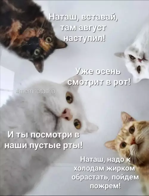 Смешная картинка №778781