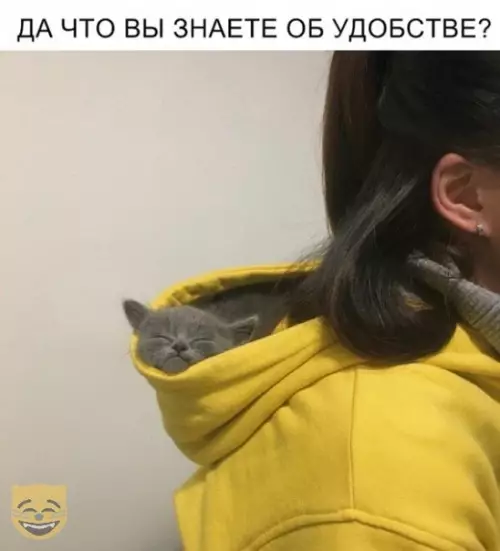 Смешная картинка №318798