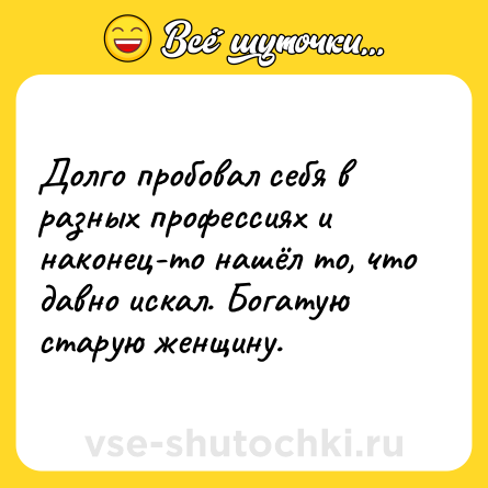 Шутка: Долго пробовал себя в разных профессиях и наконец-то нашёл то, что давно искал. Богатую старую женщину.