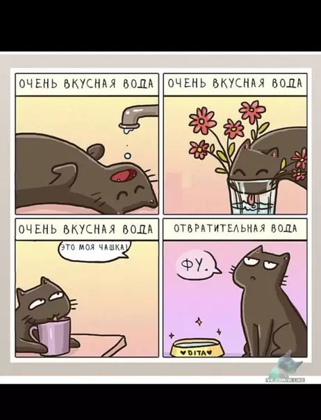 Смешная картинка №340412
