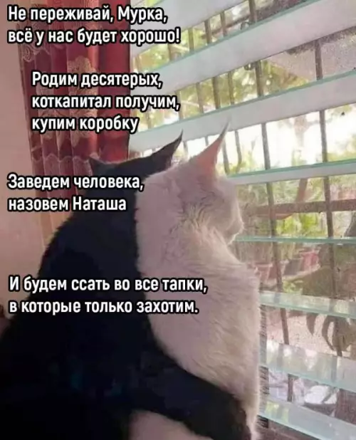 Смешная картинка №651269
