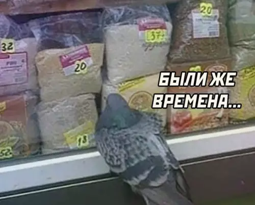 продолжение Смешная картинка №567016