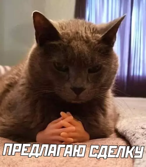 Смешная картинка №568508