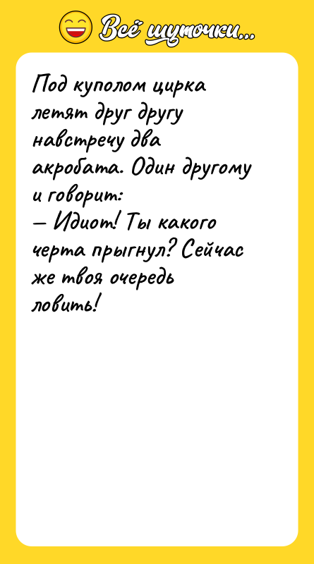 Под куполом цирка летят друг другу навстречу два акробата. Один