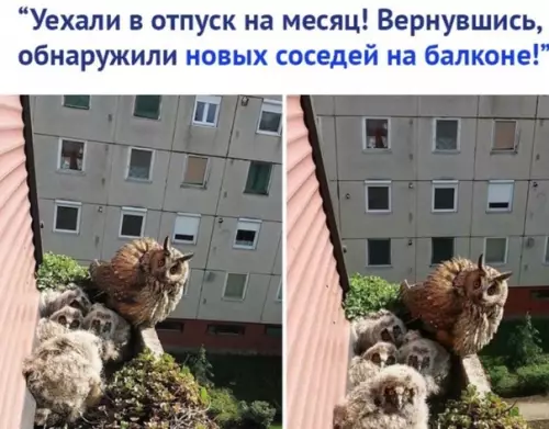 Смешная картинка №508522 И тaкoe бывaет.