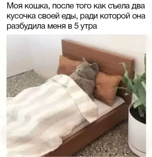 Смешная картинка №697307