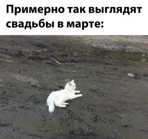 Смешная картинка №560257