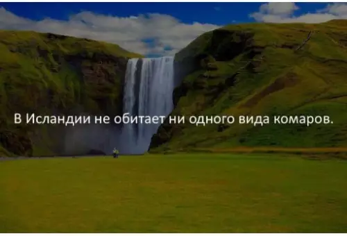 Смешная картинка №274276 Прощайте.