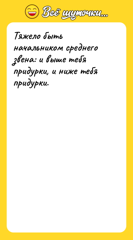 Тяжело быть начальником среднего звена: и выше тебя придурки, и